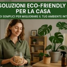 Soluciones Ecológicas para el Hogar: Maneras Simples de Mejorar tu Ambiente Interior