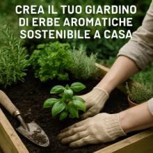 Coltivare un pollice verde: crea il tuo giardino di erbe aromatiche sostenibile a casa